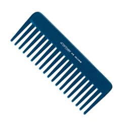 Comair Blue Line 419