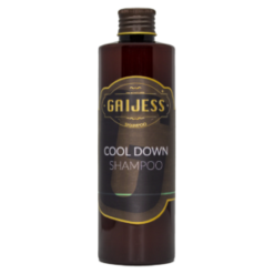 Gaijess Cool Down 250ml