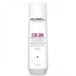 Goldwell Dualsenses Color Brilliance Shampoo 250ML