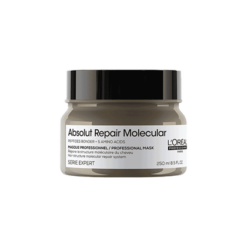 Loreal Serie Expert Absolut Repair Molecular Mask 250ml